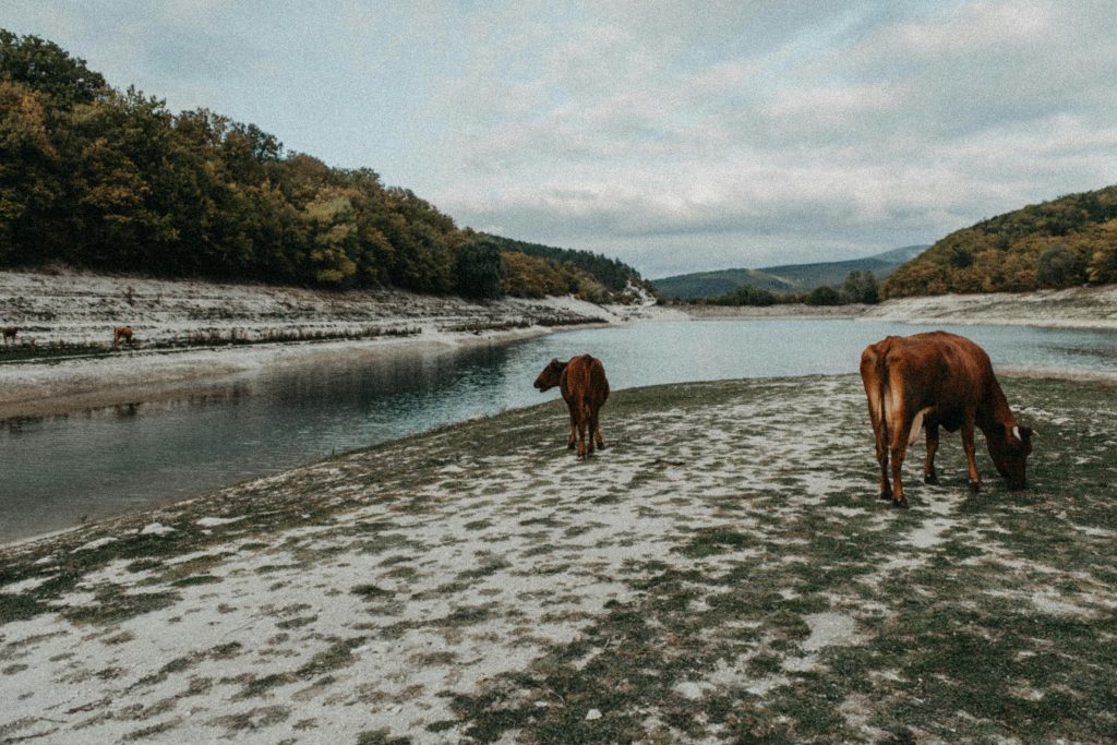 Understanding the Loan Landscape in Bulgaria: Insights into TBI Bank, OTP Bank, and Alternative Financing Solutions - Como solicitar empréstimo na Bulgária