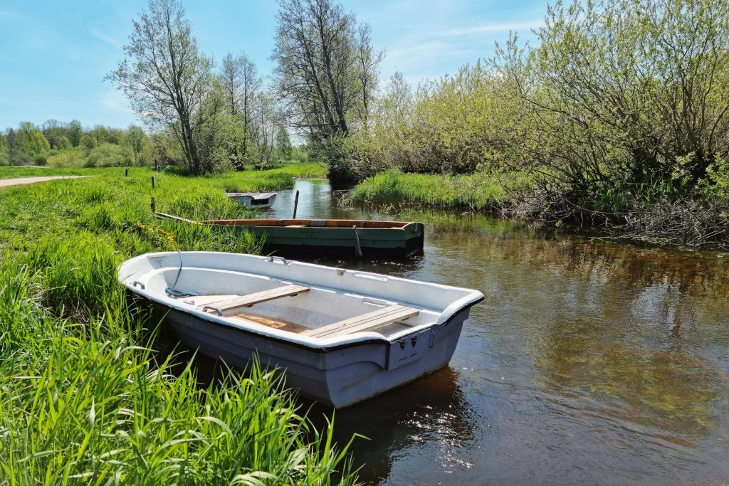 Understanding Loan Processes in Estonia: Insights from Luminor Bank, SEB Pank, and More - Como solicitar empréstimo na Estônia