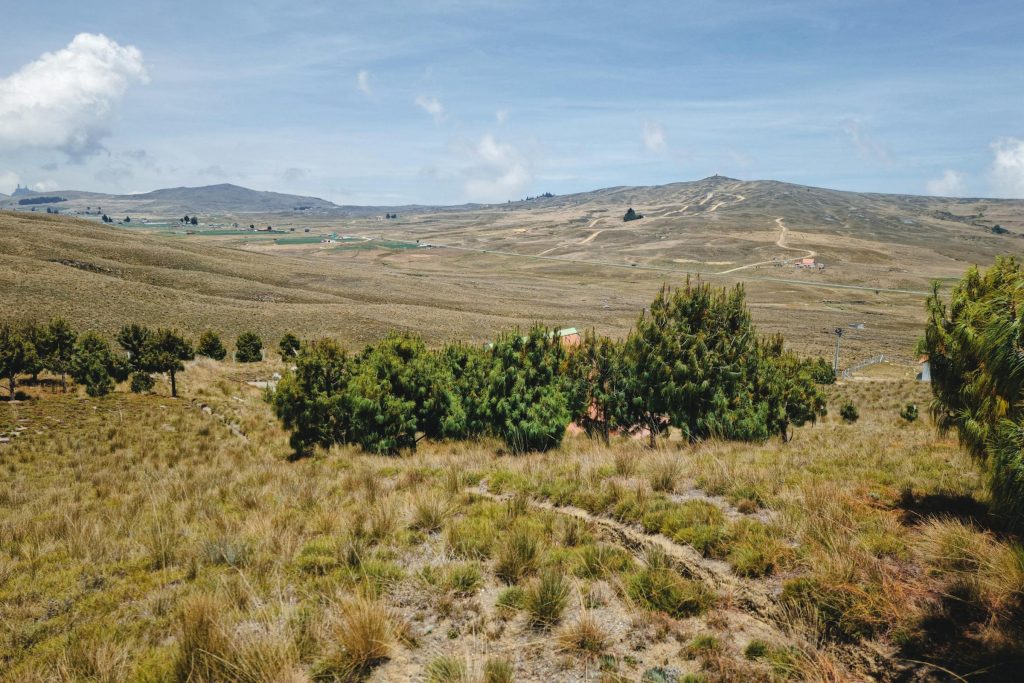 Navigating the UK Credit Card Landscape: Key Features of NatWest, Halifax, and Santander You Need to Know - Melhores cartões de credito do Reino Unido