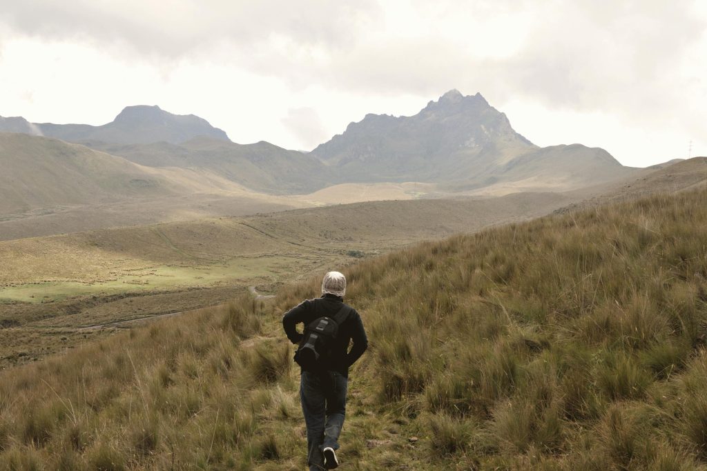 Exploring Cooperative Lending: The Role of COAC Vis Andes and Banco D-MIRO in Ecuadors Financial Landscape - Como solicitar empréstimo no Equador