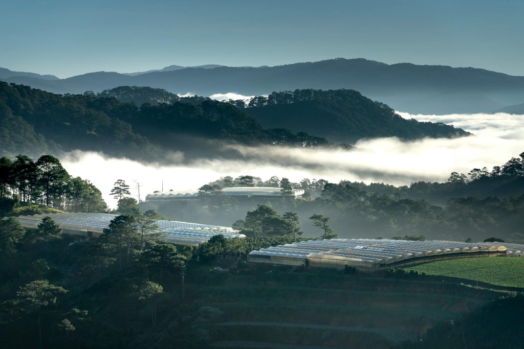 Navigating Credit Solutions in Denmark: A Comprehensive Guide to Major Banks and Payment Providers - Cartões de credito da Dinamarca