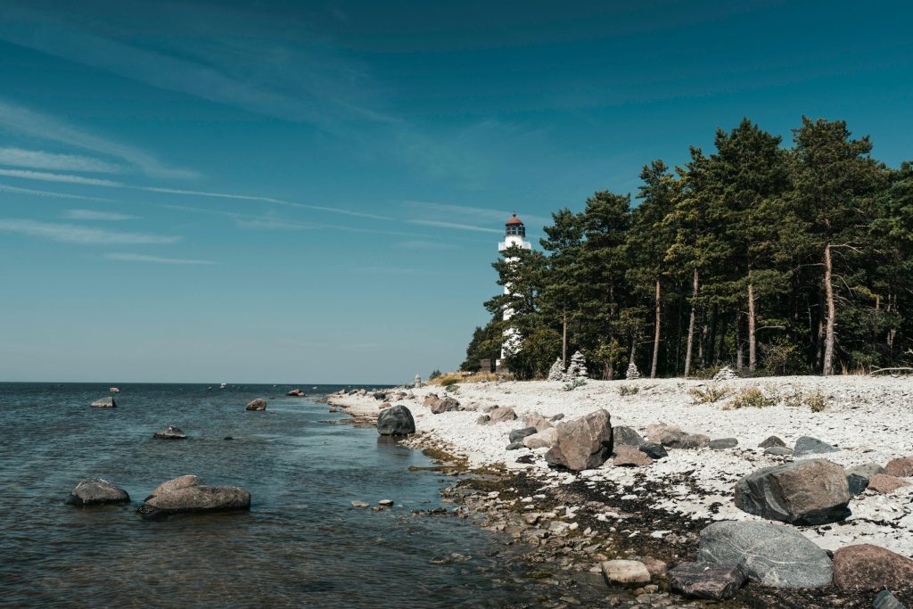 Navigating Estonias Financial Landscape: A Comprehensive Guide to Credit Cards from Swedbank, LHV Pank, and Beyond - Cartões de credito da Estônia